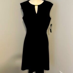 Elegant Black Sleeveless Dress